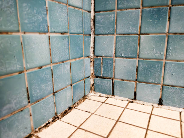 Best Residential Mold Inspection & Testing  in Strathmore, CA